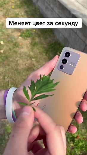 #vivo #v23 #vivoV23 #vivo235g #vivo23_5g
