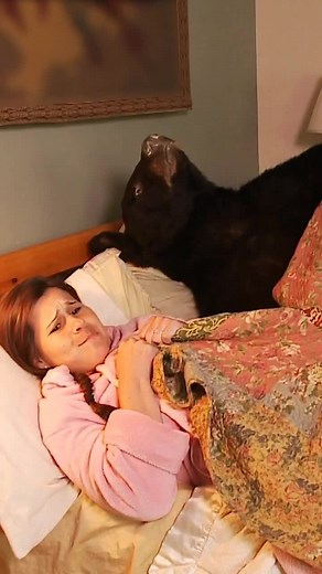 Chuck Testa: The King of Taxidermy Memes