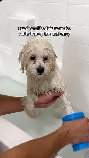 114K views · 16K reactions | Follow these simple steps to make bath time a calming and stress free experience for your pup 癩 #bathtime #bathroutine #bestdog #cutepuppy | Mr.milobug | Facebook