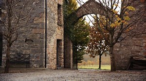 Inspired by horses, loved by riders. 🐴❤️ | #micklem Developed by international coach William Micklem, the Rambo® Micklem® Multibridle is a unique bridle designed to comfortably fit the shape of the horse's skull, avoiding pressure on sensitive areas. It can used as a bridle, lunge cavesson or as a bitless bridle with 3 strengths. ✍️ For more information 👉🏼https://bit.ly/2WEVrBy | The Equine Warehouse