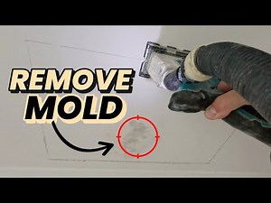 Remove Mold 100% from Drywall Step by Step