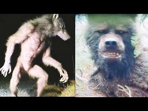 5 Real Dogman Sightings with Documented Footage You NEED To See