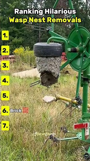 Ranking Funny Wasp Nest Removals 🤣