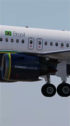 Real Airbus Pilot landing at Campinas