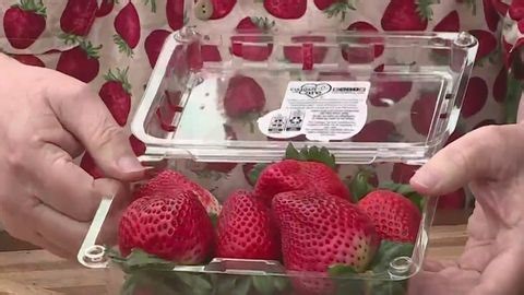 Produce deals of the week - Feb. 11, 2026 | Haystack News