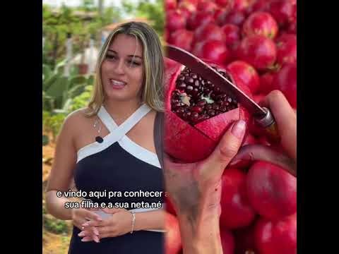 🤣👌👌👌 Sudut Pandang 2025: Kompilasi Klip Lucu Wajib Ditonton #humor #fyp シ #pov #fyp #foryou 😍😜