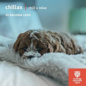 A portmanteau is a word that is formed by combining two different words to create a new one. How many of these portmanteaus have you heard before? Do you know of any more? | Learning English with Cambridge