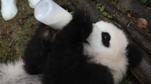 105K views · 10K reactions | Here are our model students in the...