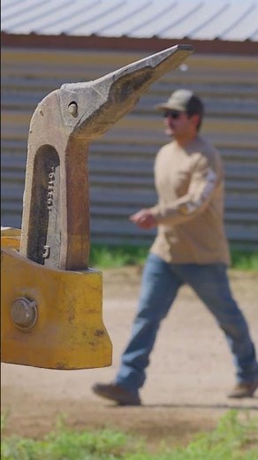 Leave it to Flatland! #shorts