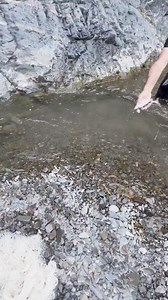 This vedio make you laugh too much | funny scene happen during the fishing 🎣 🐟 #fishingadventures #fishingvideos #fishingreel #fisherman #fishon | Its Fishing Time