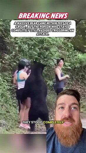 How Staying Still Stopped a Bear Attack — What Happened