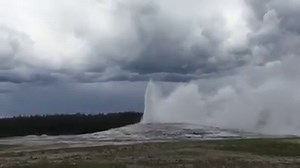 84K views · 2.9K reactions | New video: Old Faithful Geyser erupting during strong outflow winds from nearby severe thunderstorm. Note the shelf cloud in the background! Maria Molina | Reed Timmer Extreme Meteorologist | Facebook