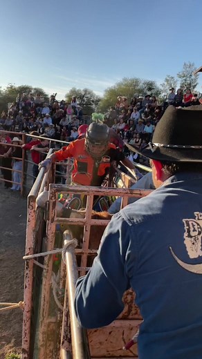 40K views · 1.5K reactions | ¡REY AZTECA!  | Los Toros Divinos MX | Facebook