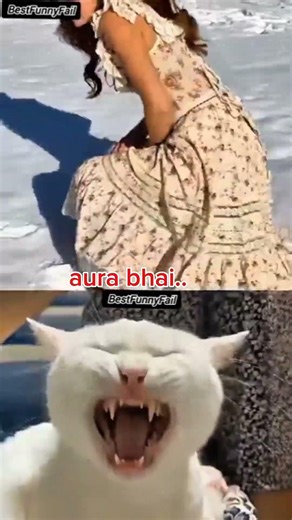 #jumpstyle #voiceeffects #tiktoktrend manav sutharjacob bethellgujarat titans vs royal