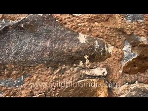 Close-up shot of ancient stone-work on the wall of Munda Gumbad, Delhi
