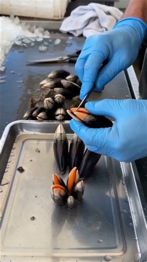 Percebes Extraction ASMR | Clipping and Presentation Sound