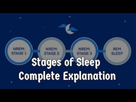 Stages of Sleep| REM and NREM Sleep| Stages of Sleep in Psychology| Sleep Cycles |