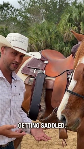 How do you pull your saddle off?
