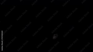 Realistic Muzzle flashes straight fire montage with smoke effect. Automatic fire Realistic gun shot muzzle flashes set with Isolated on black background Alpha Stock Video