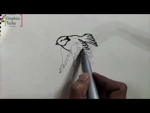 How to Draw a Sparrow with Pencil and Marker - Beginner Tutorial #1