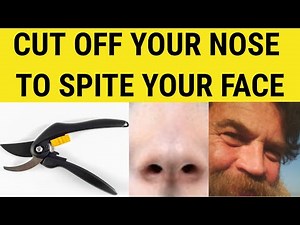 🔵 Idioms - Cut Off Your Nose to Spite Your Face - Cut Off Your Nose to Spite Your Face Explained