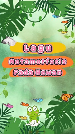 Metamorfosis pada Makhluk Hidup ✨ Materi IPAS kelas 3 ✨ #kurikulummerdeka #merdekabelajar #IPAS #kelas3 #siklushiduphewan #metamorfosis #lagunaikbecak #gurukelas #gurukreator