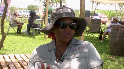 𝐒𝐨𝐢𝐥. 𝐒𝐮𝐬𝐭𝐚𝐢𝐧𝐚𝐛𝐢𝐥𝐢𝐭𝐲. 𝐓𝐡𝐞 𝐟𝐮𝐭𝐮𝐫𝐞 𝐨𝐟 𝐟𝐚𝐫𝐦𝐢𝐧𝐠. 🌱 In Episode 21 of The Agric Show, we unpack regenerative agriculture and how it’s reshaping modern farming in Botswana, from healthier soils to restoring ecosystems and fighting climate change. 𝑪𝒍𝒊𝒄𝒌 𝒕𝒉𝒆 𝒍𝒊𝒏𝒌 𝒃𝒆𝒍𝒐𝒘 𝒕𝒐 𝒘𝒂𝒕𝒄𝒉 𝒕𝒉𝒆 𝒇𝒖𝒍𝒍 𝒆𝒑𝒊𝒔𝒐𝒅𝒆 𝒐𝒏 𝒀𝒐𝒖𝑻𝒖𝒃𝒆: https://www.youtube.com/watch?v=MTJ670zG26Y | YTV Botswana