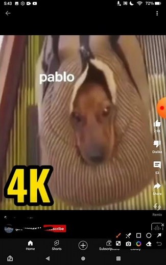 Pablo meme