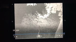 3.6K views · 39 reactions | Thank you to Lisa Reid Kettelkamp who captured this trail cam video of a bear in her yard in the Ronan area! | NBC Montana | Facebook