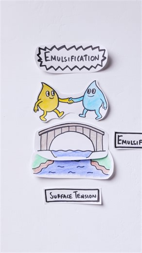 Fork the People | Food Formulas l Emulsification 🧪 A very quick and slightly reductionist primer on the “art of emulsification” Correction: a... | Instagram