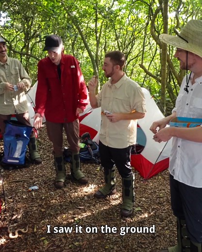 Surviving 24 Hours On Snake Island With MrBeast | Drew Binsky