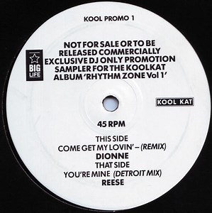 Rhythm Zone Sampler (1989, Vinyl)