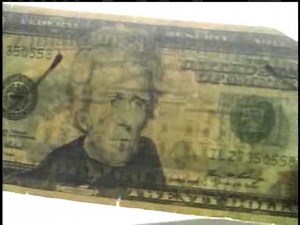 Counterfeit Cash Found In Morton