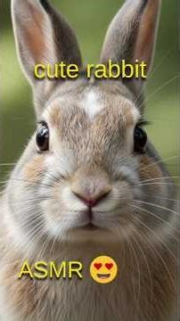 ASMR Rabbit Munching & Gentle Hop Away #rabbit #asmr #cute