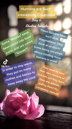 I might start updating this account either weekly or bi-weekly (twice a week), giving me more time to collect studies! How does that sound? Background clip is by @freebieclip #Humans #studyinghumans