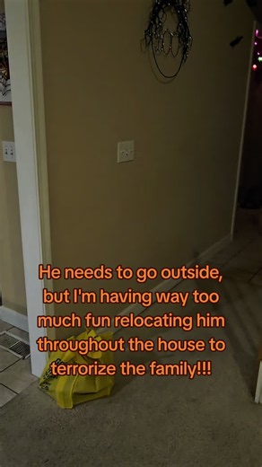 Fear Wolf Prank Ideas for Halloween: Moveable Yard Monster to Scare Family