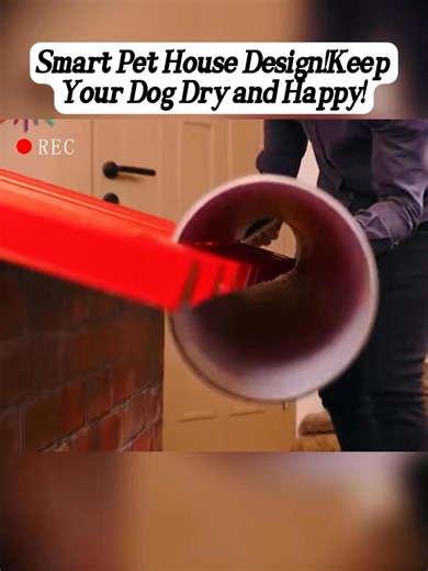 #DIYProjects #fyp #reelschallenge #HomeImprovement #reels2025 #reelsfb #PetCare #reelsfyp | Chill Chill | Facebook