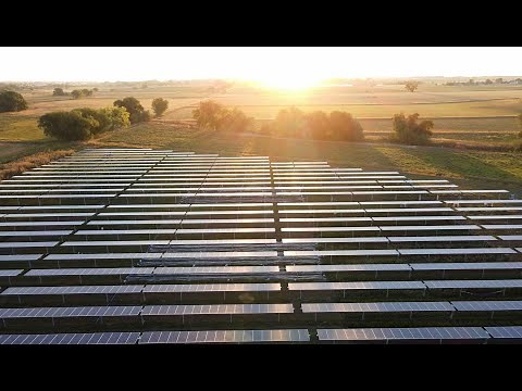 Agrivoltaics: Solar Farm to Table