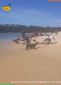 182K views · 1.1K reactions | ADHD Memes Fans on Reels | Facebook