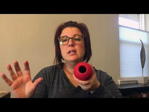 How to Introduce a Kong to Your Dog: Step 1 | Dog Training Nation