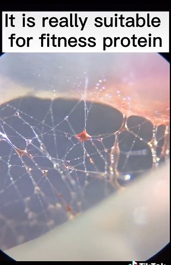 Cooking it #microscope #microscopio #macrozoom #foryou #fyp #macroscope #microworld #macroworld #microscopechallenge