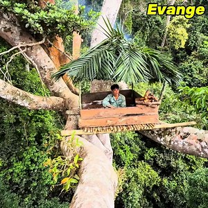 This Is the result building the tallest Treehouse In the forest | Accessories Store