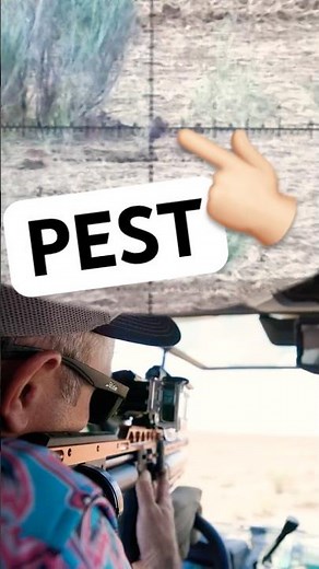 Sometimes pest control takes the form of precision air rifles 💥