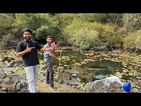 Bottle Fish Trap First Time #bottlefishtrap