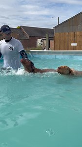 Vizsla brothers Hanzo & Higgins have very different swimming styles 😆🐾💕💦🇬🇧 | Canine Dip and Dive Maldon