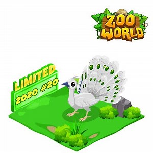 2K views · 97 reactions | The Albino Peacock is here, this is the...