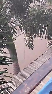 57K views · 491 reactions | Así se encuentra la doble calzada en el distrito de Turbo, luego de un fuerte aguacero que se prolongó por más de 2 horas. La lluvia se confundió con el llanto de habitantes que hicieron campaña y no les han dado empleo. | El Combo | Facebook