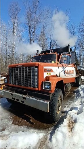 1979 GMC Brigadier 318 Detroit Diesel Cold Start #coldstart #Detroit