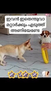 164 reactions · 16 shares |  | Riyas Khan | Facebook