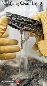 Extremely Satisfying Washing Machine Filter Cleaning | ASMR|#shortvideo